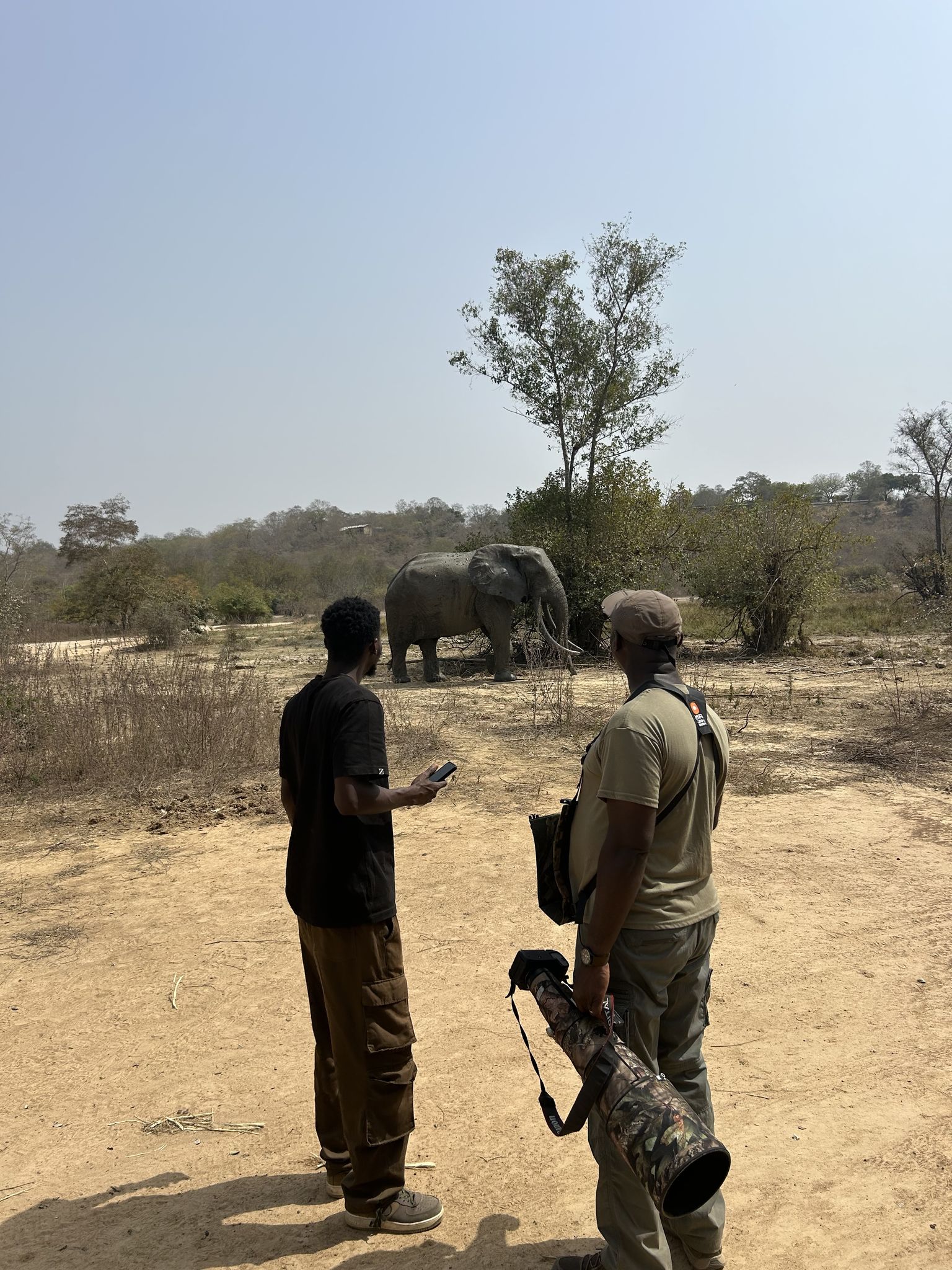 Guide and guest photographing elephants together in the Ghana savanna