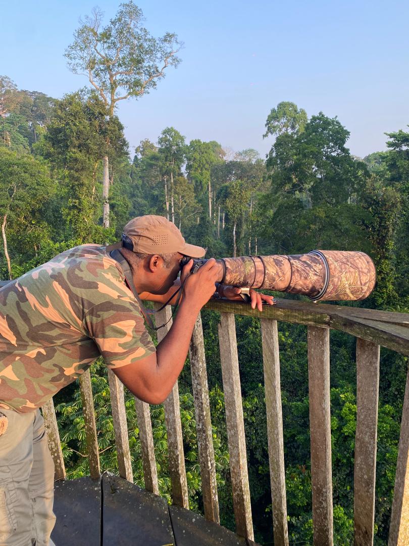On location in Ghana's forest habitat